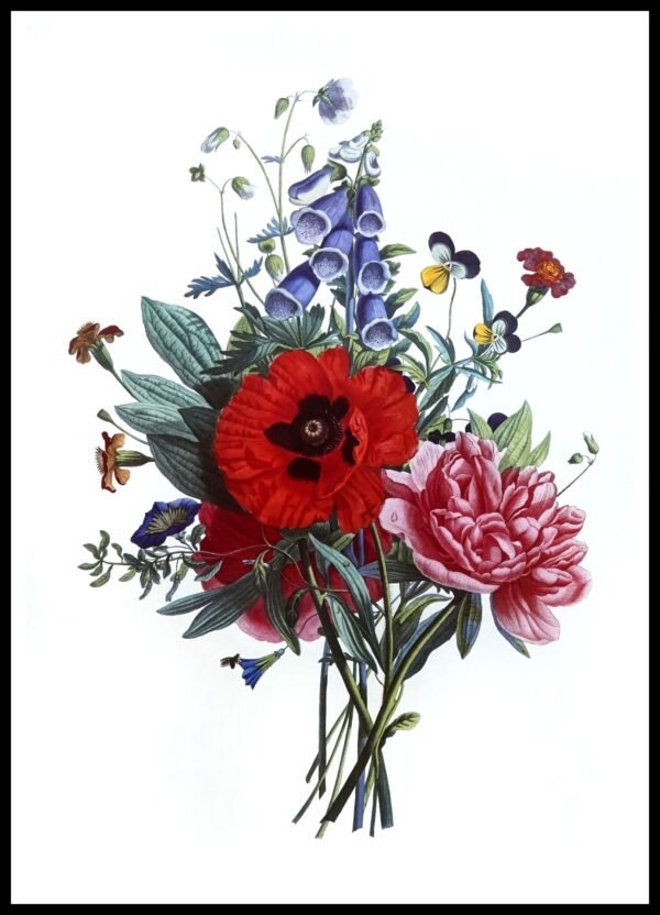 ALP F13032 Prevost Bougnets (Antique Prints)